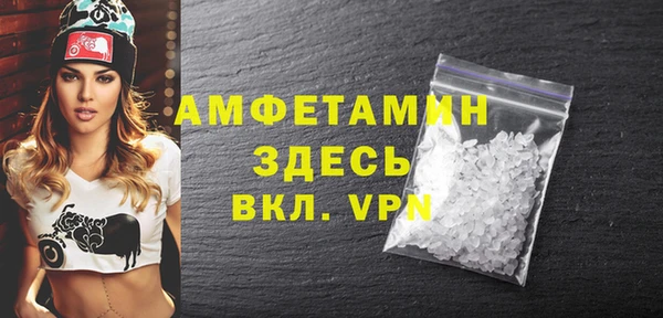 мет Алексин
