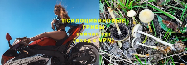 мет Алексин