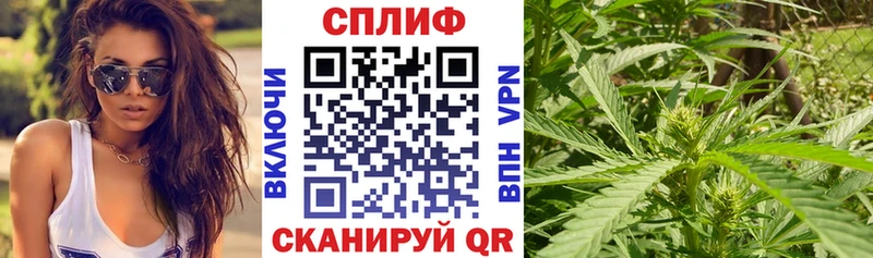 ссылка на мегу зеркало  Дербент  МАРИХУАНА LSD WEED 